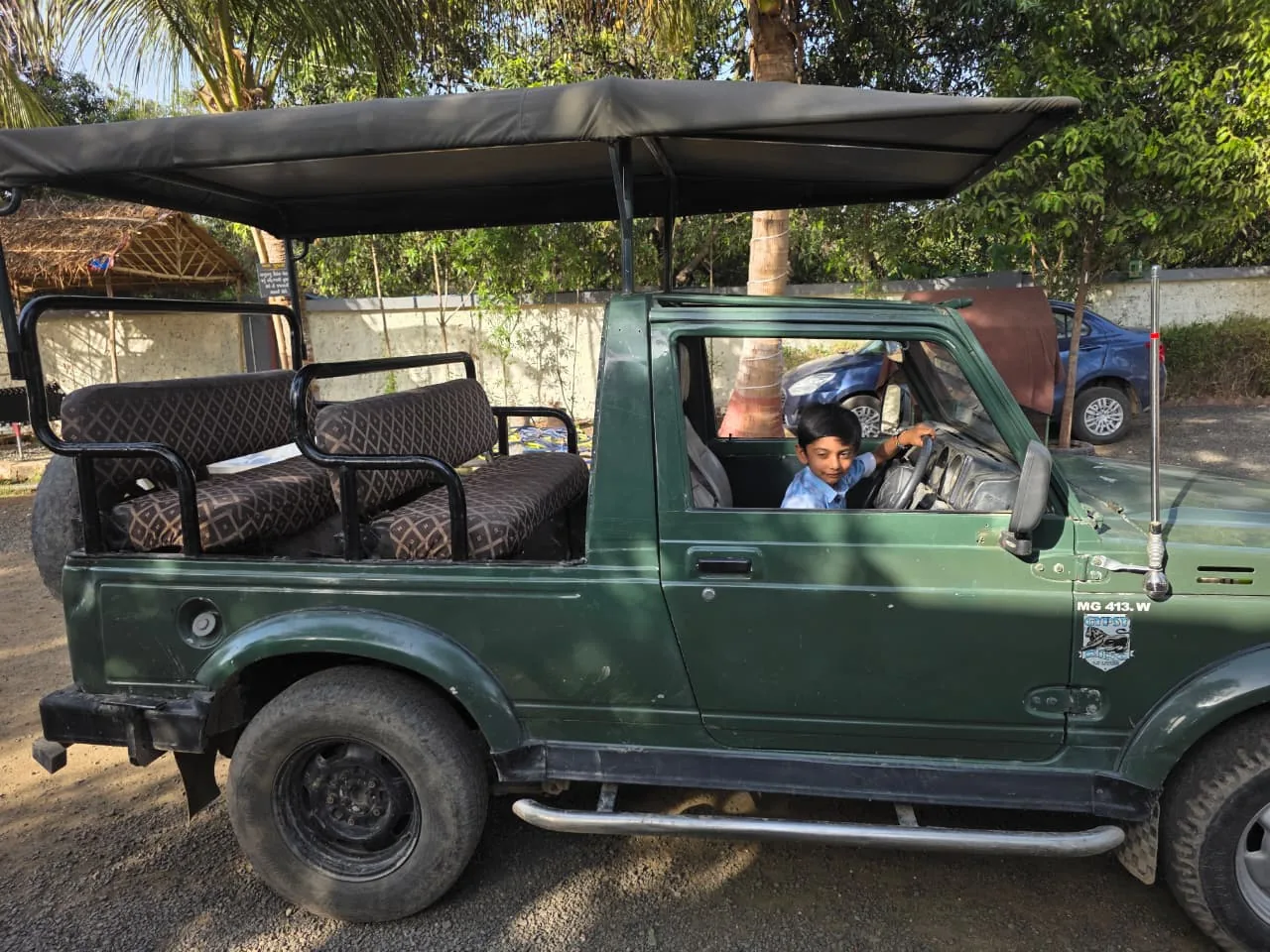 Wildlife in Gir region